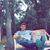 Matthew Marotte's profile image