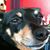 John Ortez's profile image