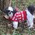 Lou Strout's profile image