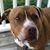 Shannon Kerler's profile image