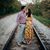 Renee Tantillo's profile image