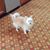 Lois Brissey's profile image