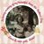Cheryl Taylor Harris's profile image