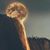 Douglas Richards's profile image