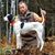 Joe Wohlfert's profile image