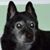 Carrie Puppo Tropea's profile image