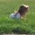 Dotti Boulanger Laumann's profile image