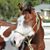 Anne Morgan's profile image