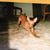 Candace Carter's profile image