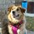 Susan Austin Brammer's profile image