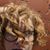 Michelle Long's profile image