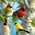 Imelda Park's profile image