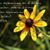 Doris Trogdon's profile image