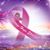 Brandy Potts's profile image