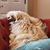Stephanie Fountain DesGroseilliers's profile image