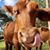 Christina Rutledge's profile image