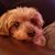 Diana Wilkins's profile image