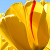 L L.'s profile image