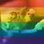 Knancy Knopf's profile image