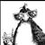 Tina Berry's profile image