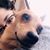 Jaimee D'Araujo's profile image