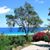 Debbie Clee's profile image
