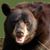 William Fleischman's profile image