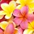 Cheryl Reynolds's profile image