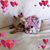 Elizabeth Fennimore's profile image