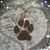 Suzanne Jean's profile image
