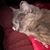 Natalie Ptak Phoenix's profile image