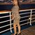Courtney Michelle Brown's profile image