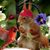Madaline Clark-Rockey's profile image