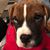 Mavis Fletcher-Almanza's profile image