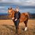 Nicholl Lockwood's profile image