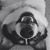 Kathy Harris Drake's profile image