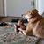 Cheri Cushing Starkey's profile image