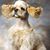 Sherry Blondheim's profile image