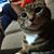 Karin Oliver-Kreft's profile image