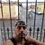 Armando Navarrete's profile image