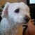 Michelle Lafollette's profile image