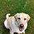 Sheri Suryan's profile image