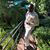 Santago Purdiman's profile image