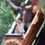 Scott Cook's profile image
