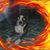 Bea K House's profile image