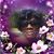Margie Palmer's profile image