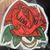 William Wallace-Welsh's profile image