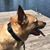 Jeffrey Prater's profile image