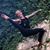 Lisa Lapwing's profile image