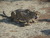 Chuck H.'s profile image